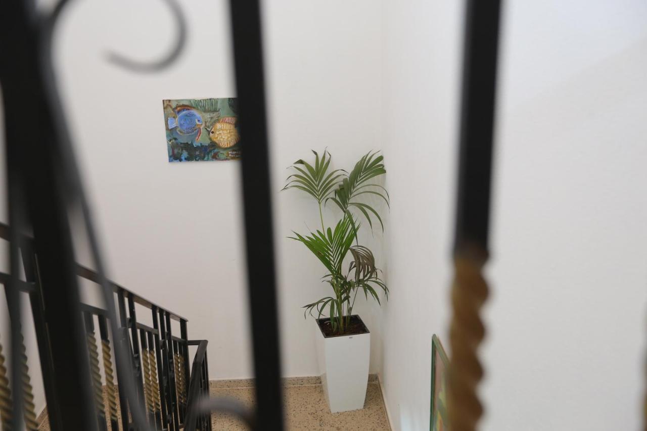 Apartment Celaj Velipoje Exterior photo